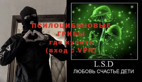 стаф Горнозаводск