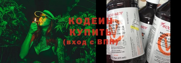 амф Горняк