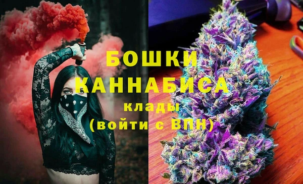 стаф Горнозаводск
