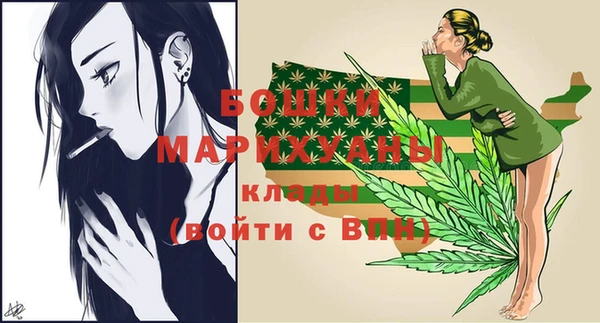 амф Горняк