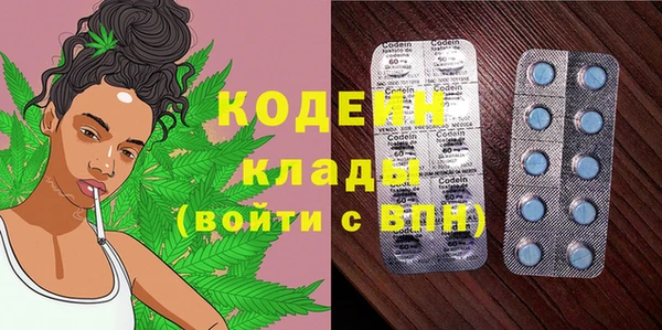 амф Горняк