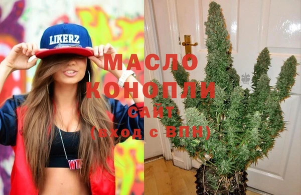 амф Горняк